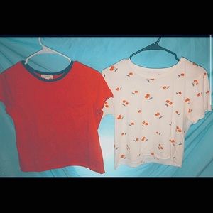Two crop tops both in large.